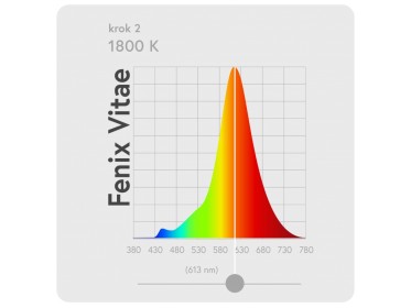 Dobíjateľná čelovka Fenix Vitae